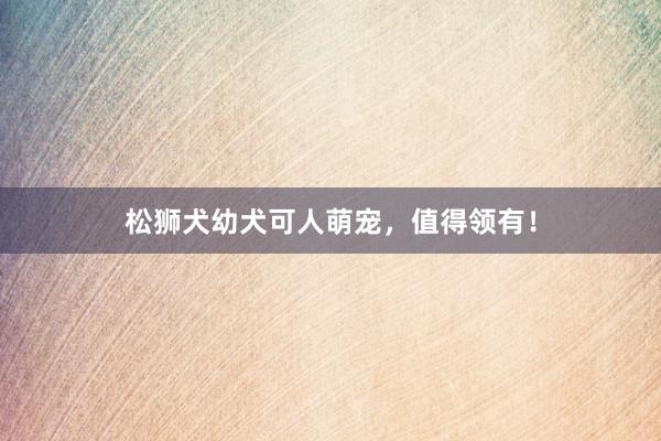 松狮犬幼犬可人萌宠，值得领有！